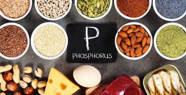 Phosphorous-foods