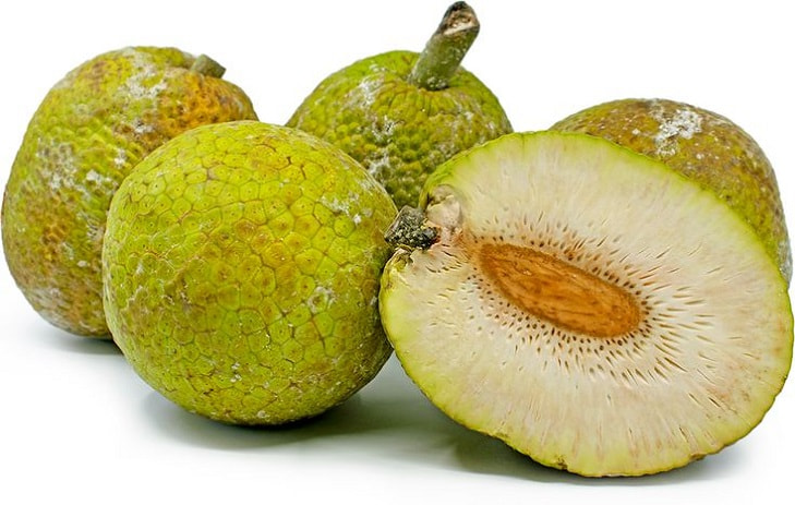 breadfruits breadfruits