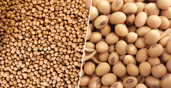 Soybeans