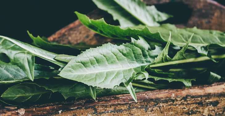 Dandelion Greens: Nutrition Facts, Health Benefits, Side Effects