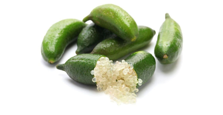 Finger-Lime Finger-Lime