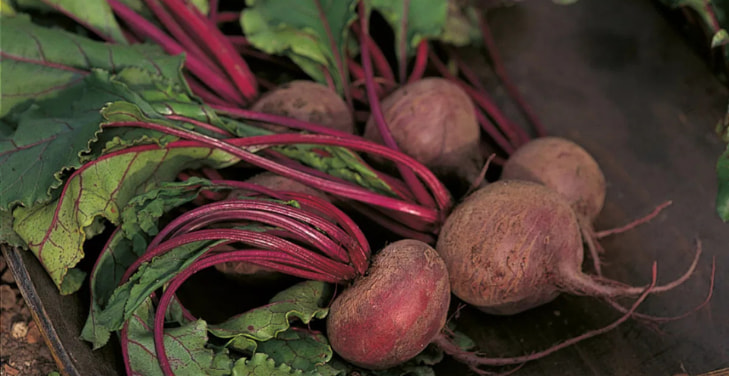 dangers-of-eating-beetroot