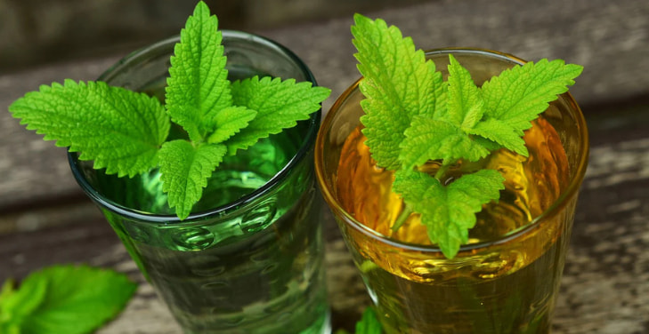 lemon-balm-tea